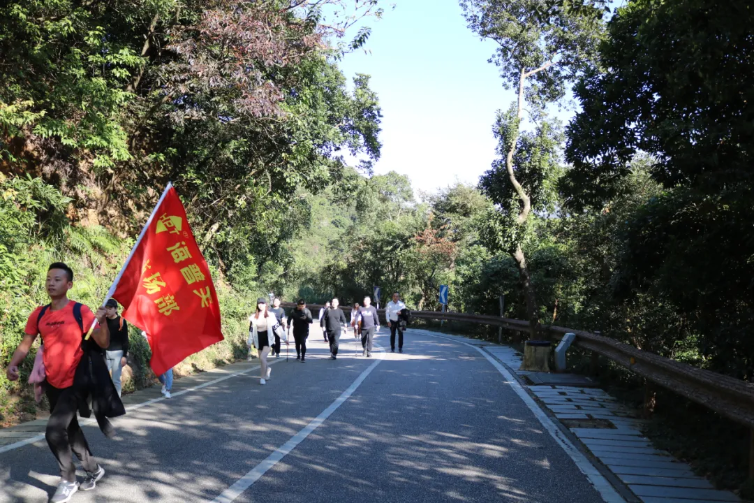海普天丨市場部團(tuán)建活動(dòng)---梧桐山之旅......(圖6)