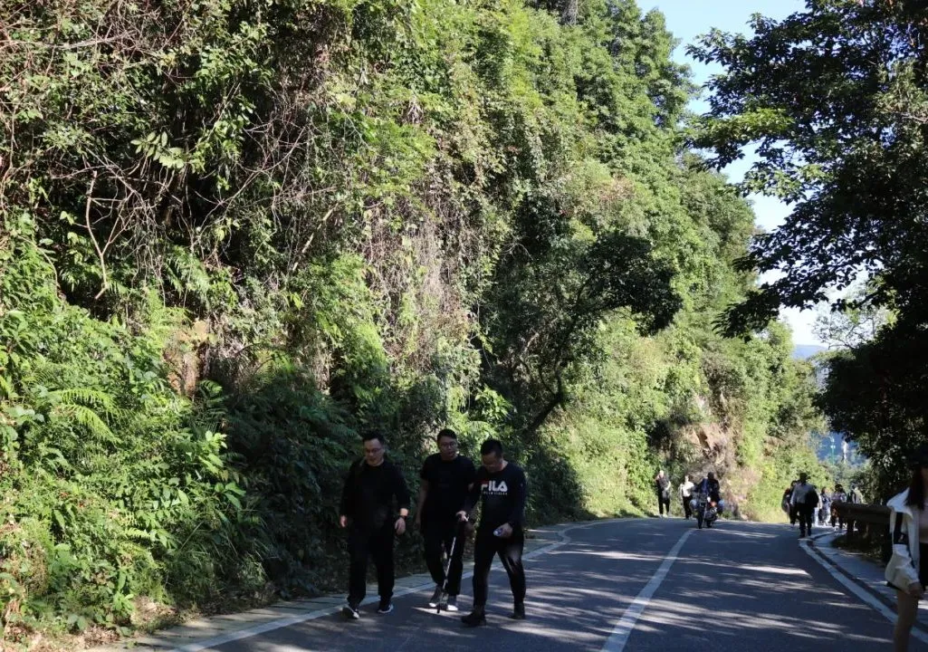 海普天丨市場部團(tuán)建活動(dòng)---梧桐山之旅......(圖7)