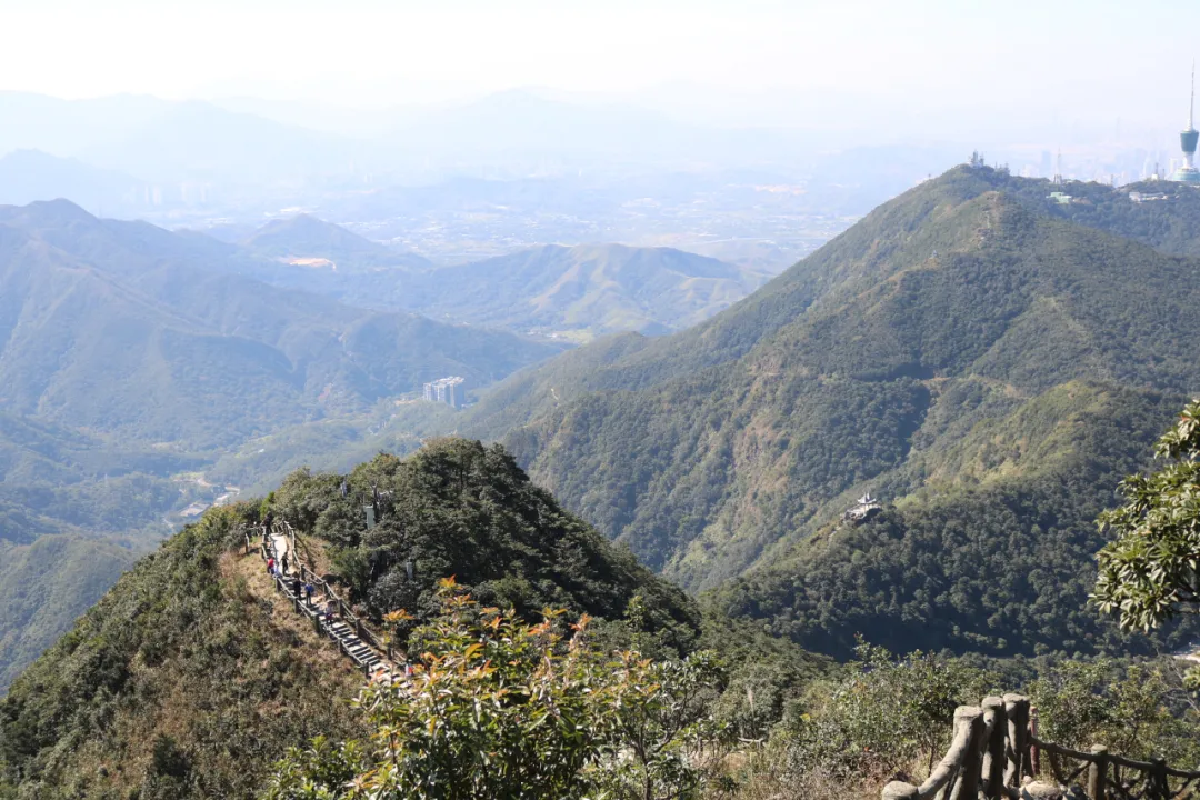 海普天丨市場部團(tuán)建活動(dòng)---梧桐山之旅......(圖15)